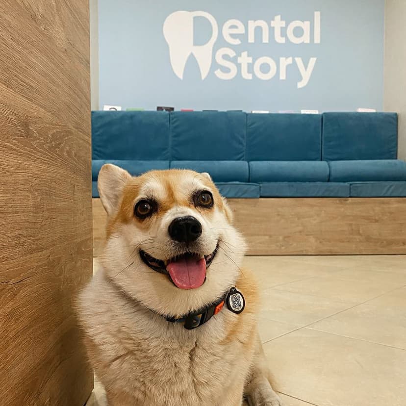 Pet-friendly клініка